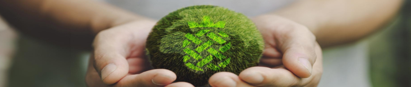 The Rising Star of Textile Materials-UKL Pineapple Leaves Fiber(PALF)
